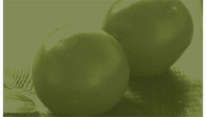 Foodphilosophy_care 2