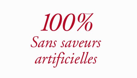 100noflavours_fr
