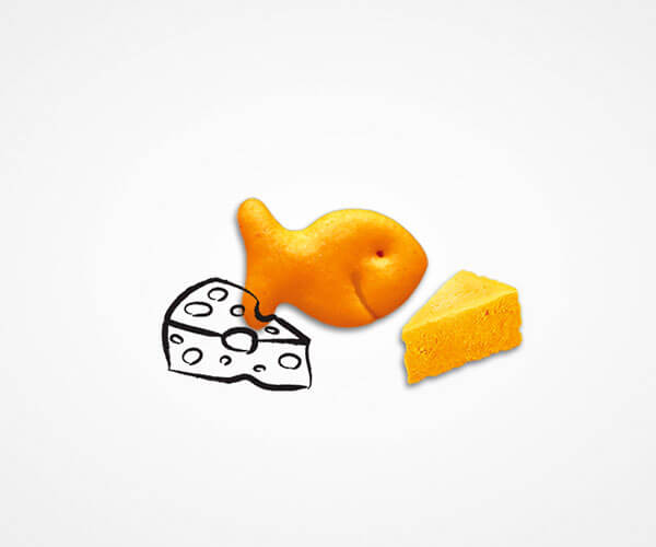 Goldfish Cheese Adventures