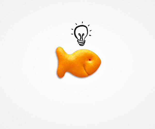 Goldfish Light Bulb Adventures
