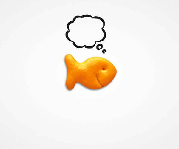 Goldfish Thought Adventures