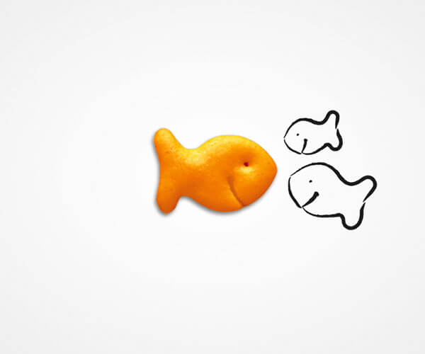 Les Aventures entre amis Goldfish