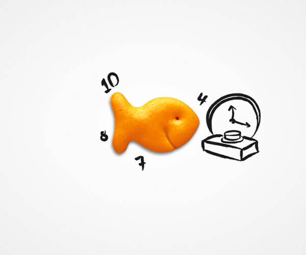 Les Aventures de la machine à voyager dans le temps Goldfish