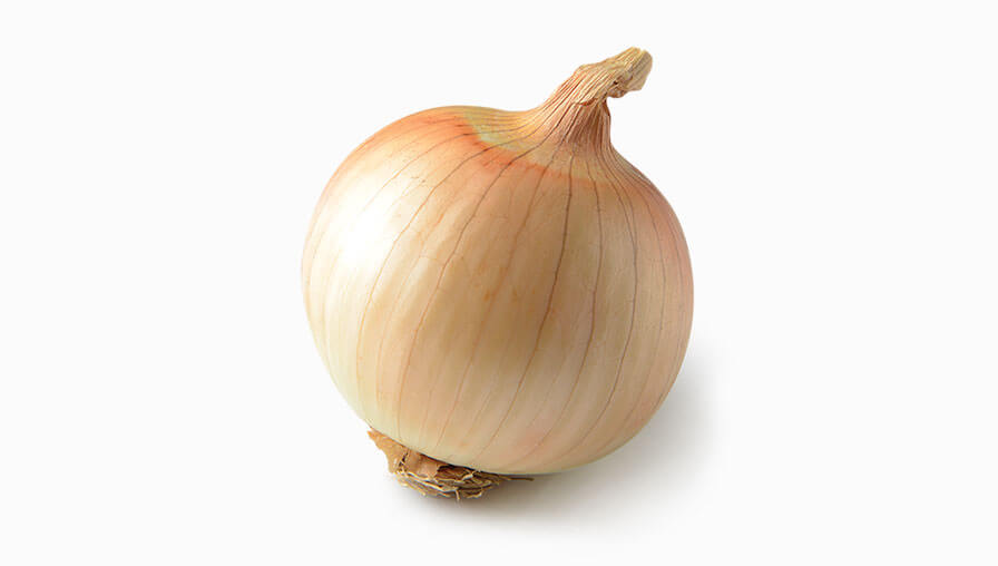 Harvest Onion