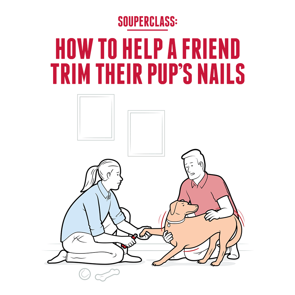 How to help a friend trim their pup's nails