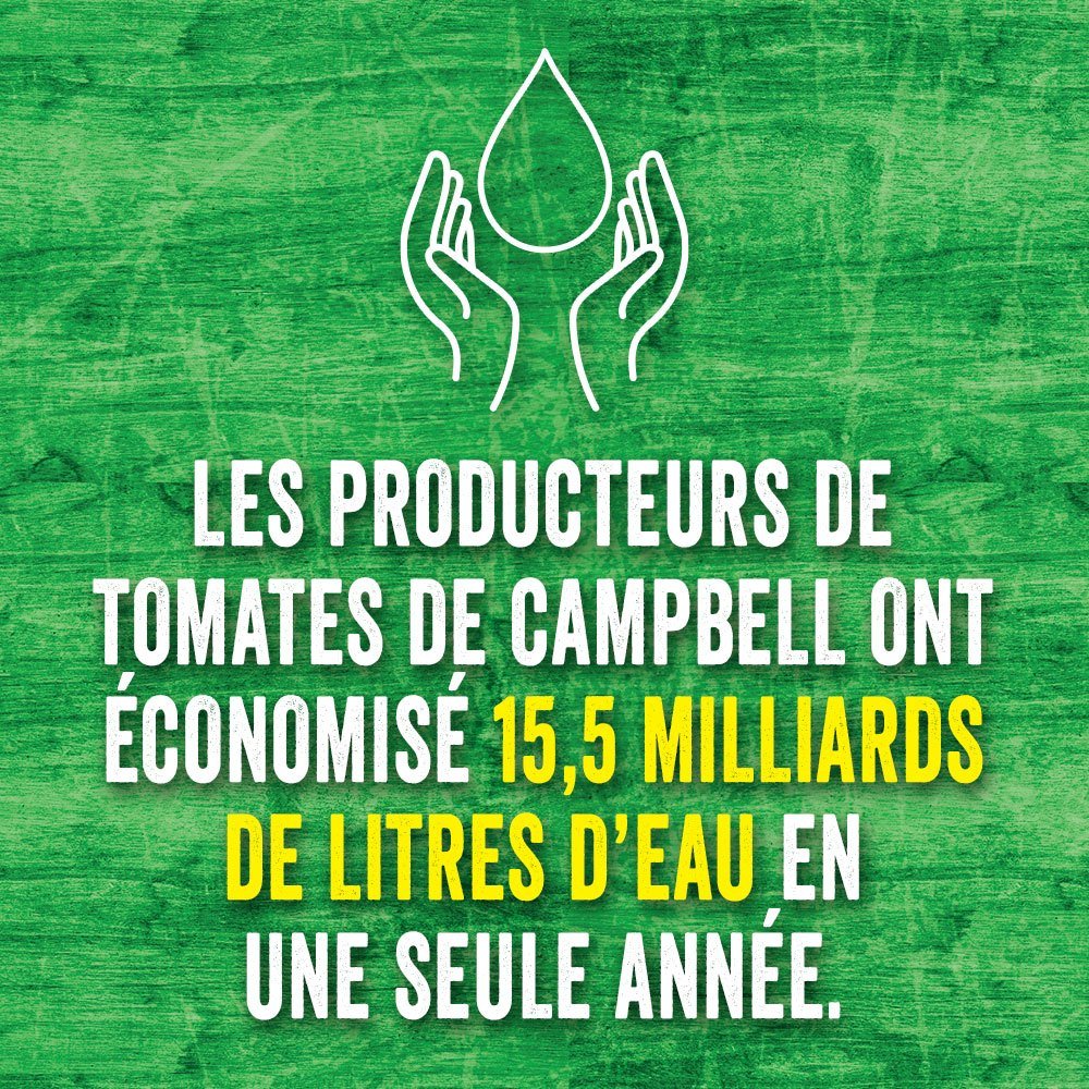 Les producteurs de tomates de campbell ont économisé 15,5 milliards de litres d'eau en une seule année.