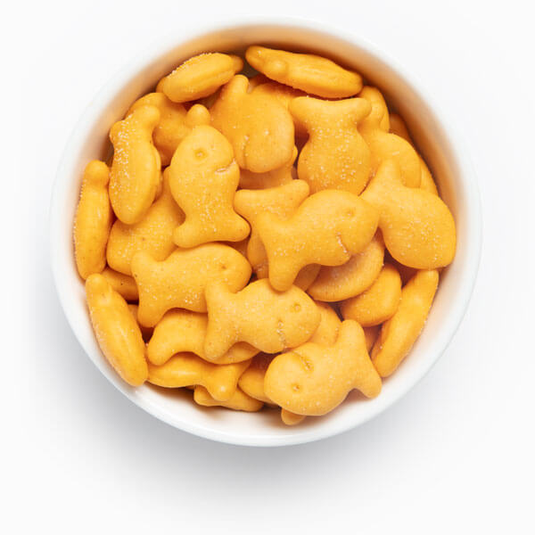 goldfish cracker art