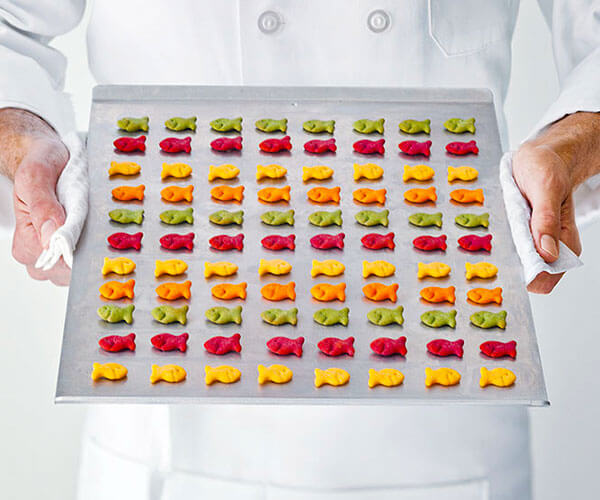 Chef holding Goldfish® Colours crackers on baking sheet
